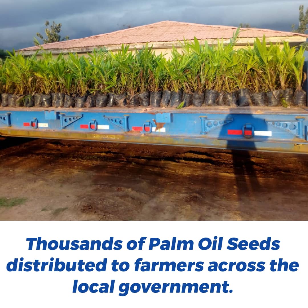 You are currently viewing Hon. Musibau Sanusi Adeshina Empowers Farmers with Distribution of Palm Oil Seeds in Ona Ara LG